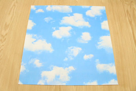 sky and cloud - 18" sq. individual sheet